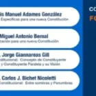 Hacia una Nueva Constitución: entre luces y sombras