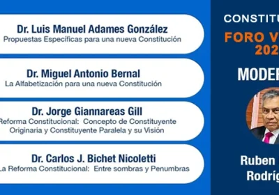 HACIA UNA NUEVA CONSTITUCIÓN: entre luces y sombras